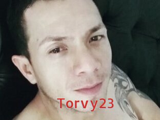 Torvy23