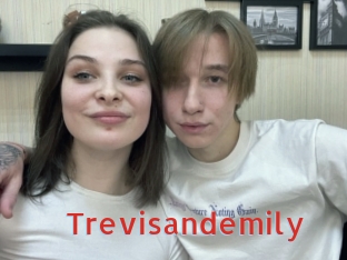 Trevisandemily