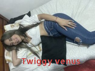 Twiggy_venus