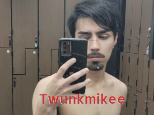 Twunkmikee