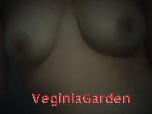 VeginiaGarden