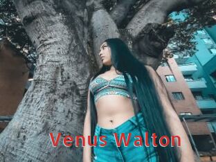 Venus_Walton