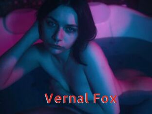 Vernal_Fox