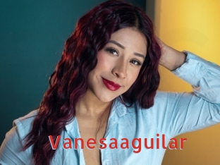 Vanesaaguilar