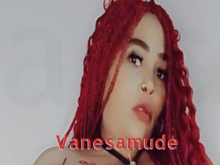 Vanesamude