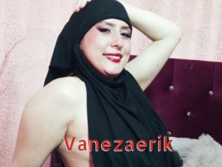 Vanezaerik