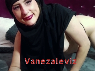 Vanezaleviz