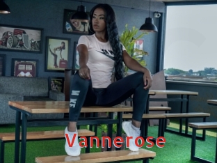 Vannerose