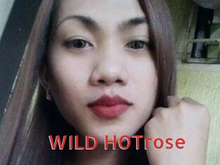 WILD_HOTrose