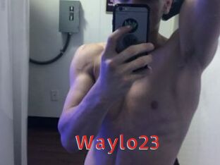 Waylo23