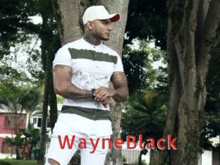 WayneBlack