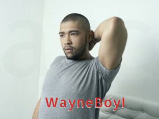 WayneBoyI