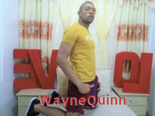 WayneQuinn