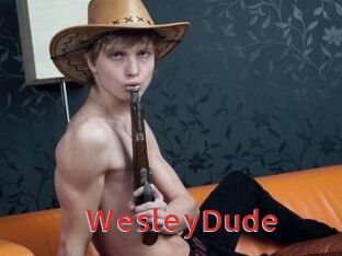 WesleyDude Archive DVD NET