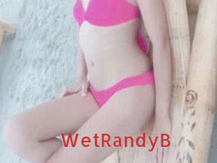 WetRandyB Archive DVD NET
