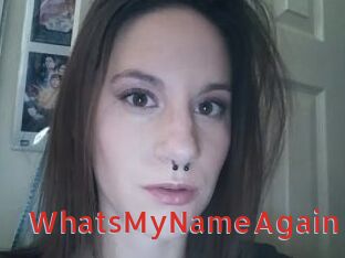 WhatsMyNameAgain Archive DVD NET