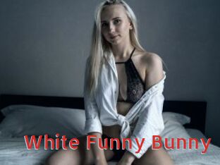 White_Funny_Bunny