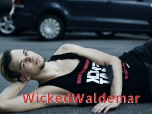 WickedWaldemar Archive DVD NET