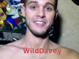 WildDavey