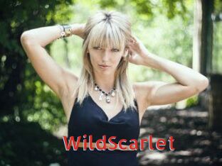 WildScarlet