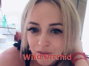 Wild_Orrchid