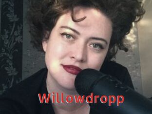 Willowdropp