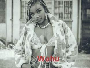 wahu Archive DVD NET