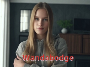 wandabodge Archive DVD NET