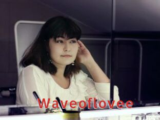 waveoflovee Archive DVD NET