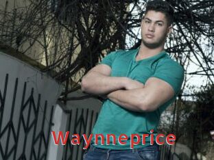 Waynneprice
