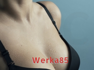 Werka85