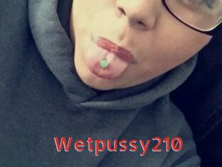 Wetpussy210