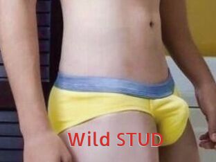 Wild_STUD