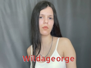 wildageorge Archive DVD NET