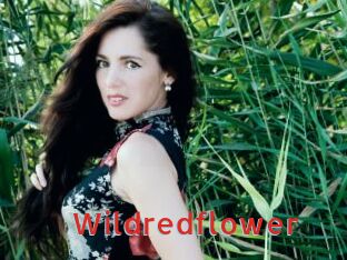 Wildredflower