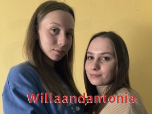 Willaandantonia