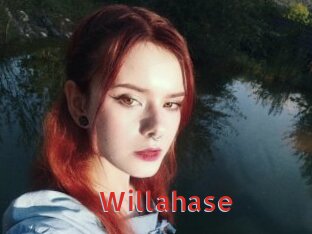 Willahase