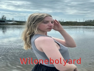 Wilonebolyard