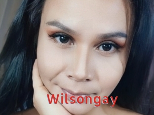 Wilsongay