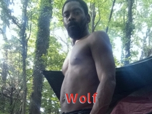 Wolf