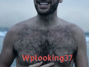 Wplooking37