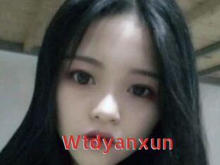 Wtdyanxun