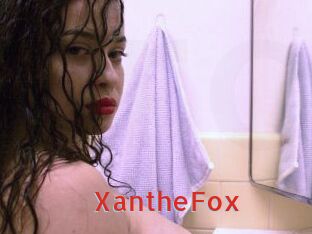 Xanthe_Fox
