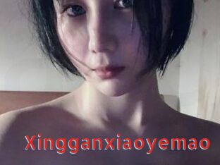 Xingganxiaoyemao