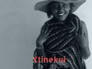 xtinekui Archive DVD NET