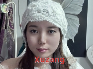 xuzang Archive DVD NET