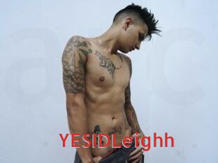 YESIDLeighh Archive DVD NET