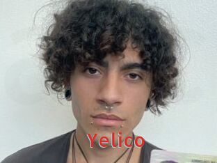 Yelico Archive DVD NET