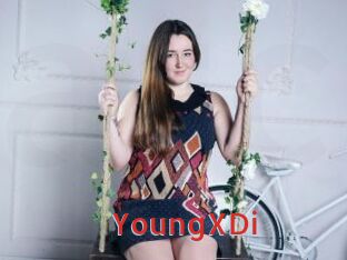 YoungXDi