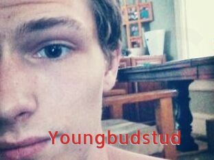 Youngbudstud